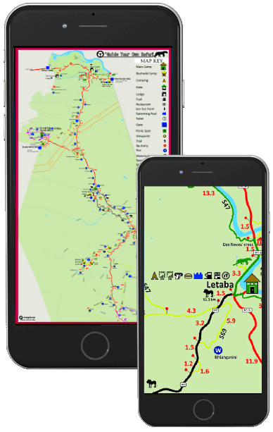 Digital Maps